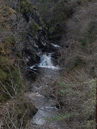 20110130-Corrimony-P1300331