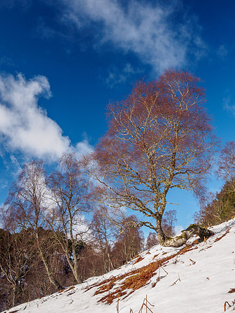 Behind Beinn A'Mheadhoin 1
