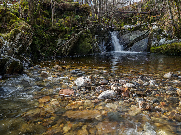 Neaty Burn 3