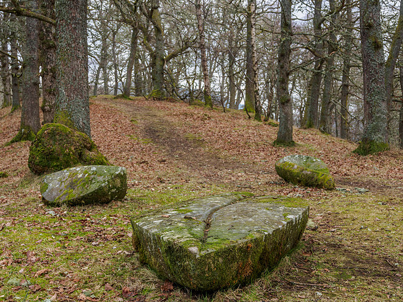 20150214-Craigmonie Wood-EM100987