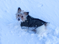 Mij of the Antarctic 1