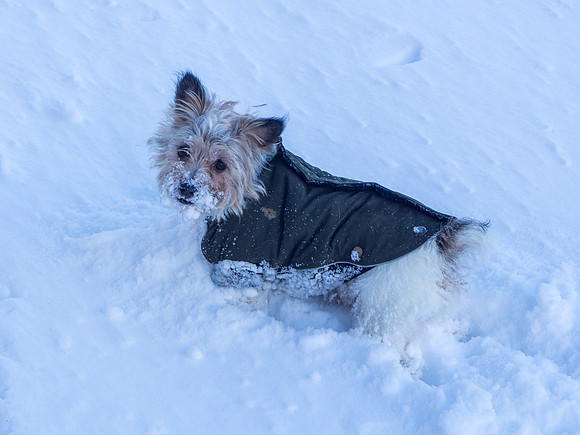 Mij of the Antarctic 1