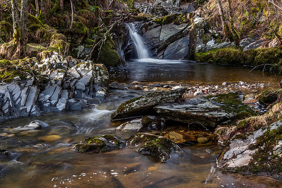 Neaty Burn 2