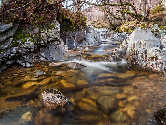 Neaty Burn 4