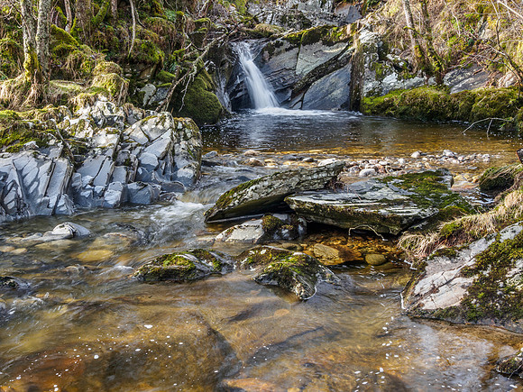 Neaty Burn 1