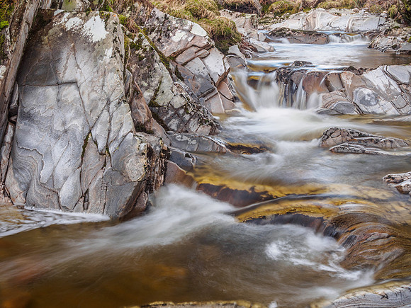 Neaty Burn 5