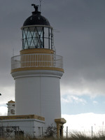 20110317-Fortrose-P3171387