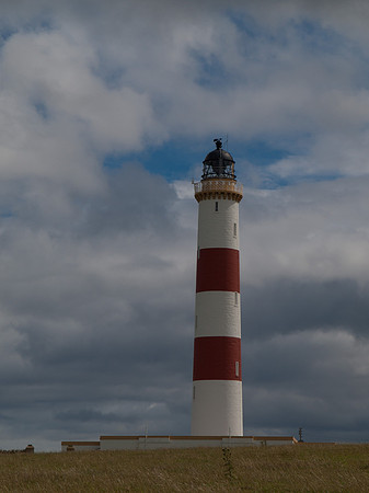 20100717-Tarbat-P7178427