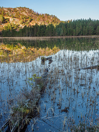 Loch 'n' Logs  [1912044]
