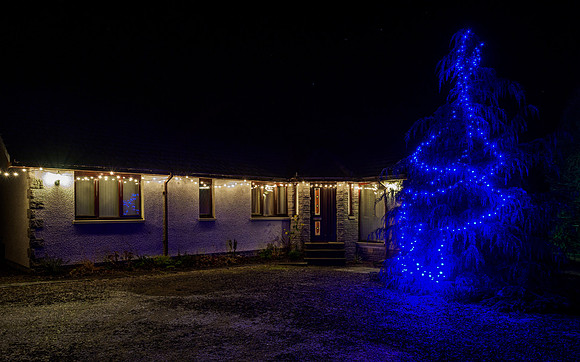 Christmas Lights [1912016]