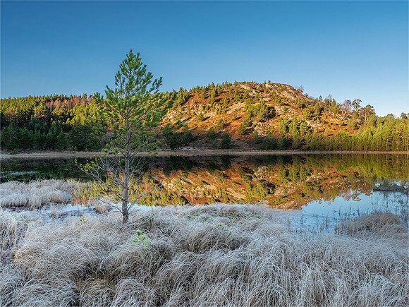 Loch 'n' Logs  [1912045]