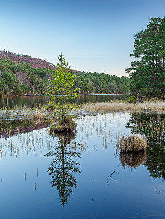Loch an Eilein  [1912043]