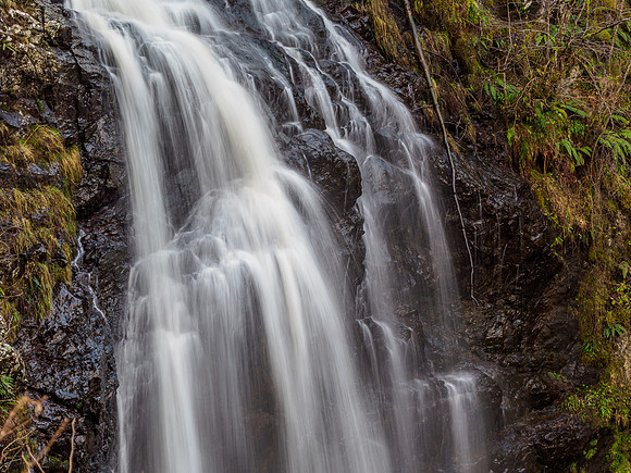 Dhivach Falls [1912021]