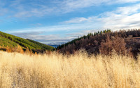 Glen Coiltie [1912004]