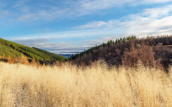 Glen Coiltie [1912004]