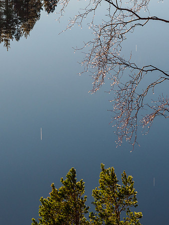 Droplets