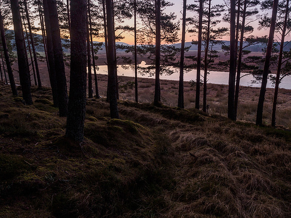Sunrise Near Moy