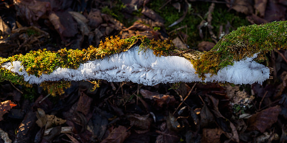 Hair Ice