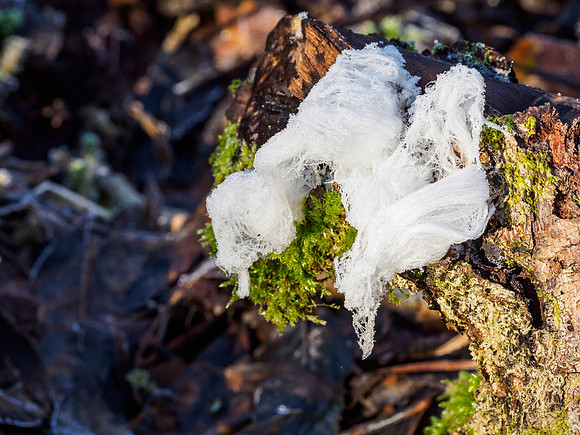 Hair Ice