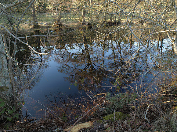 20110316-Dochgarroch-P3161376