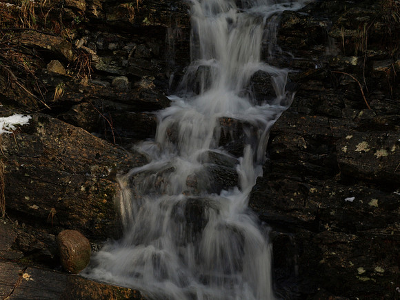 20110311-Altsigh-P3111277