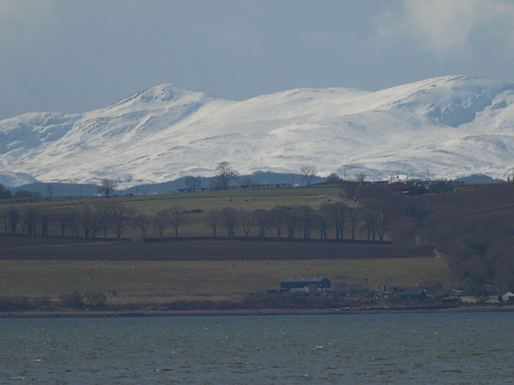 20110317-Fortrose-P3171403