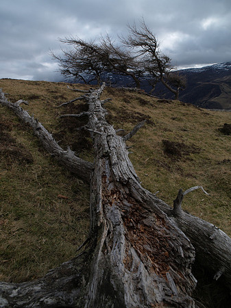 20110305-Kinloch Rannoch-P3051081