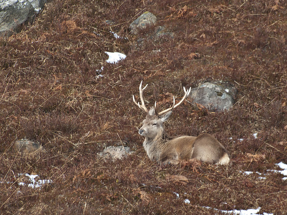 20110318-Mullardoch-P3181425