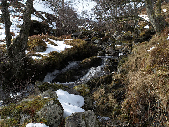 20110318-Mullardoch-P3181440