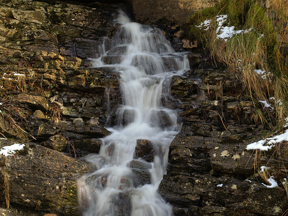 20110311-Altsigh-P3111279