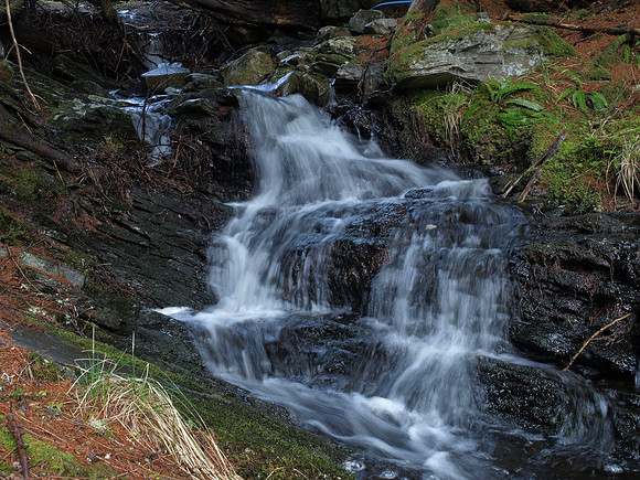 20110311-Altsigh-P3111284