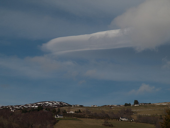 20110320-Urquhart Bay Woods-P3201540