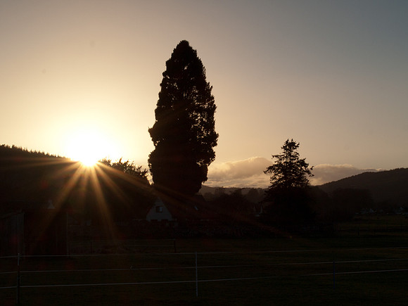 20110331-Loch Ness-P3311694