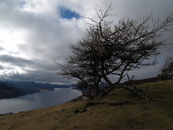 20110305-Kinloch Rannoch-P3051090
