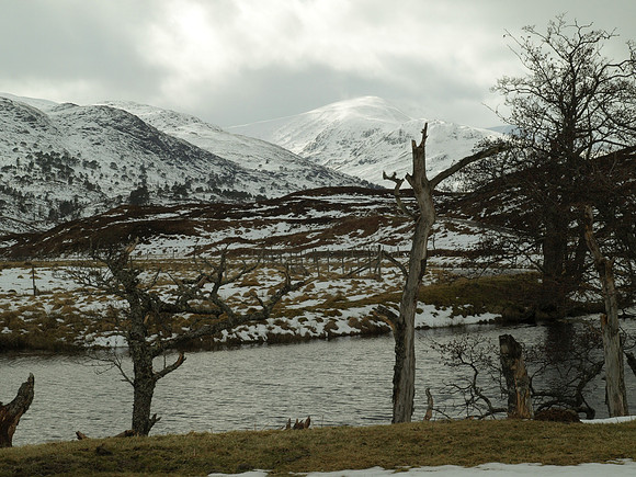 20110318-Mullardoch-P3181466
