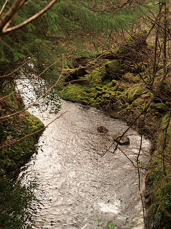 20110311-Altsigh-P3111307