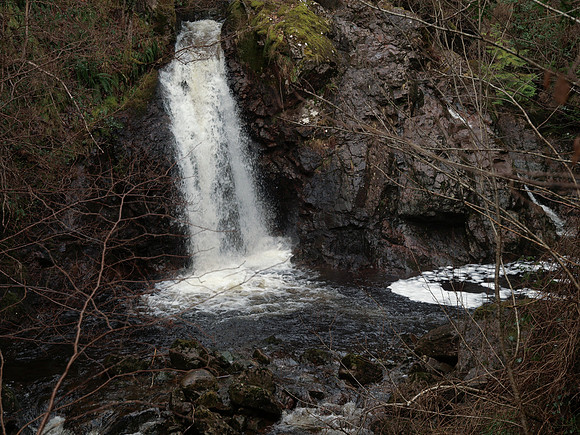20110311-Altsigh-P3111306