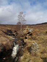 20110305-Kinloch Rannoch-P3051064_cr