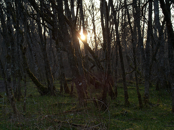 20110331-Loch Ness-P3311687