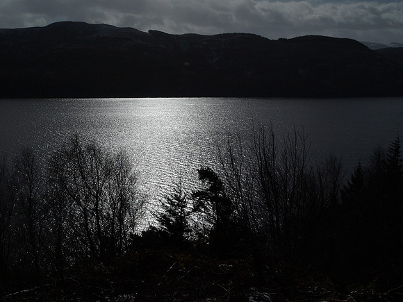 20110311-Altsigh-P3111227