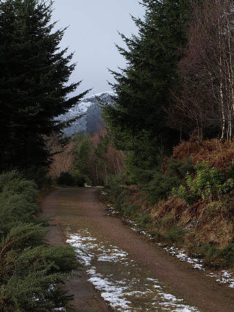 20110311-Altsigh-P3111234
