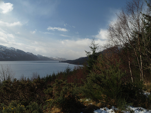 20110311-Altsigh-P3111215