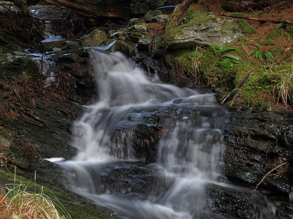 20110311-Altsigh-P3111282
