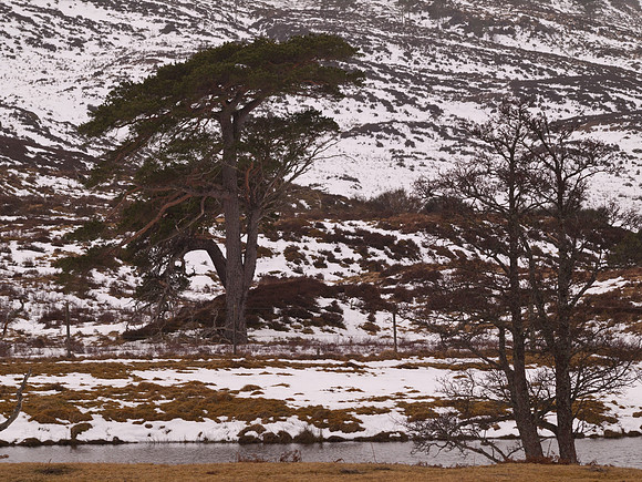 20110318-Mullardoch-P3181408
