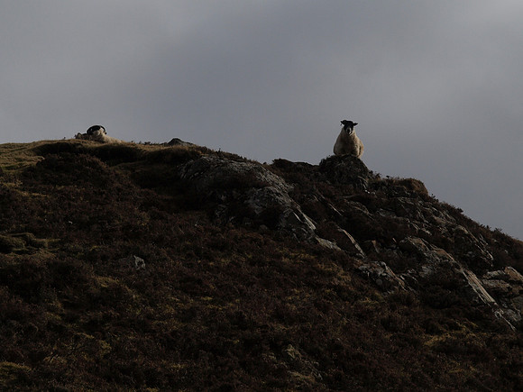 20110305-Kinloch Rannoch-P3051076