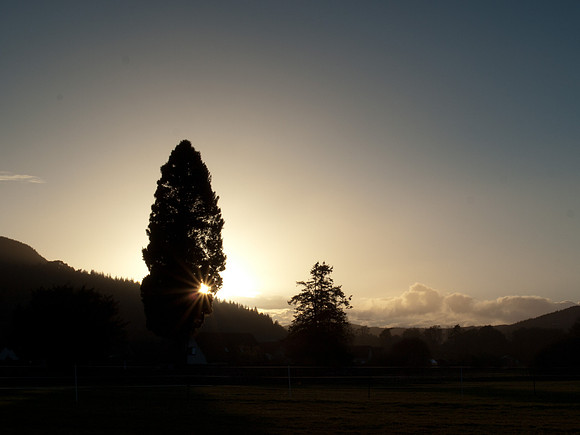 20110331-Loch Ness-P3311692