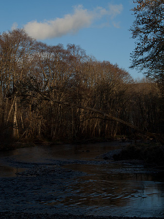 20110331-Loch Ness-P3311674