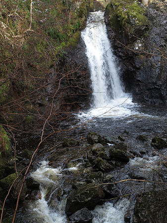 20110311-Altsigh-P3111201