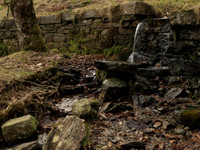 20110305-Kinloch Rannoch-P3051052