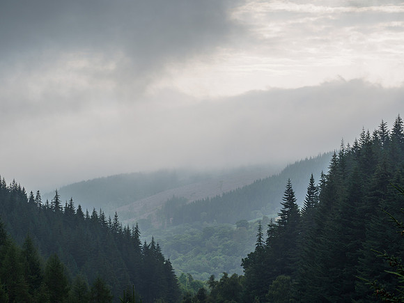 Glen Coiltie [1907010]
